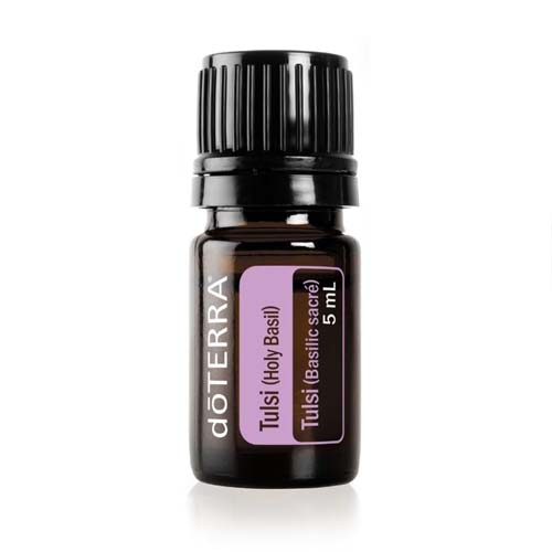 Holy Basil Oil